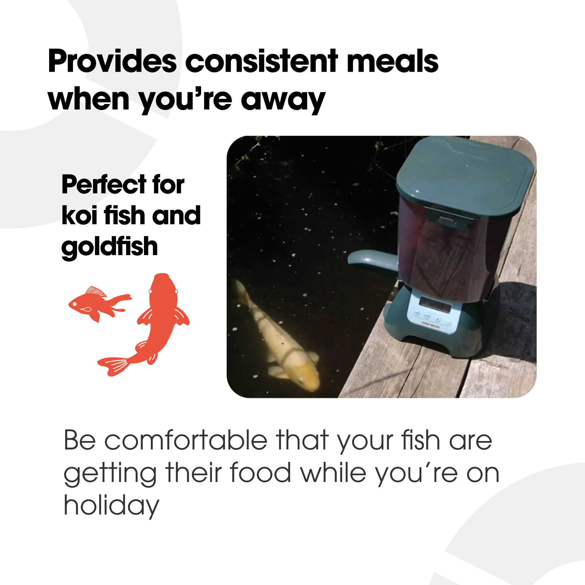 Infographic showing a green automatic fish feeder placed on the edge of a wooden deck beside a pond, with a large koi fish swimming below. Text on the image highlights the product benefits: 'Provides consistent meals when you’re away,' 'Perfect for koi fish and goldfish,' and 'Be comfortable that your fish are getting their food while you’re on holiday' on a white background