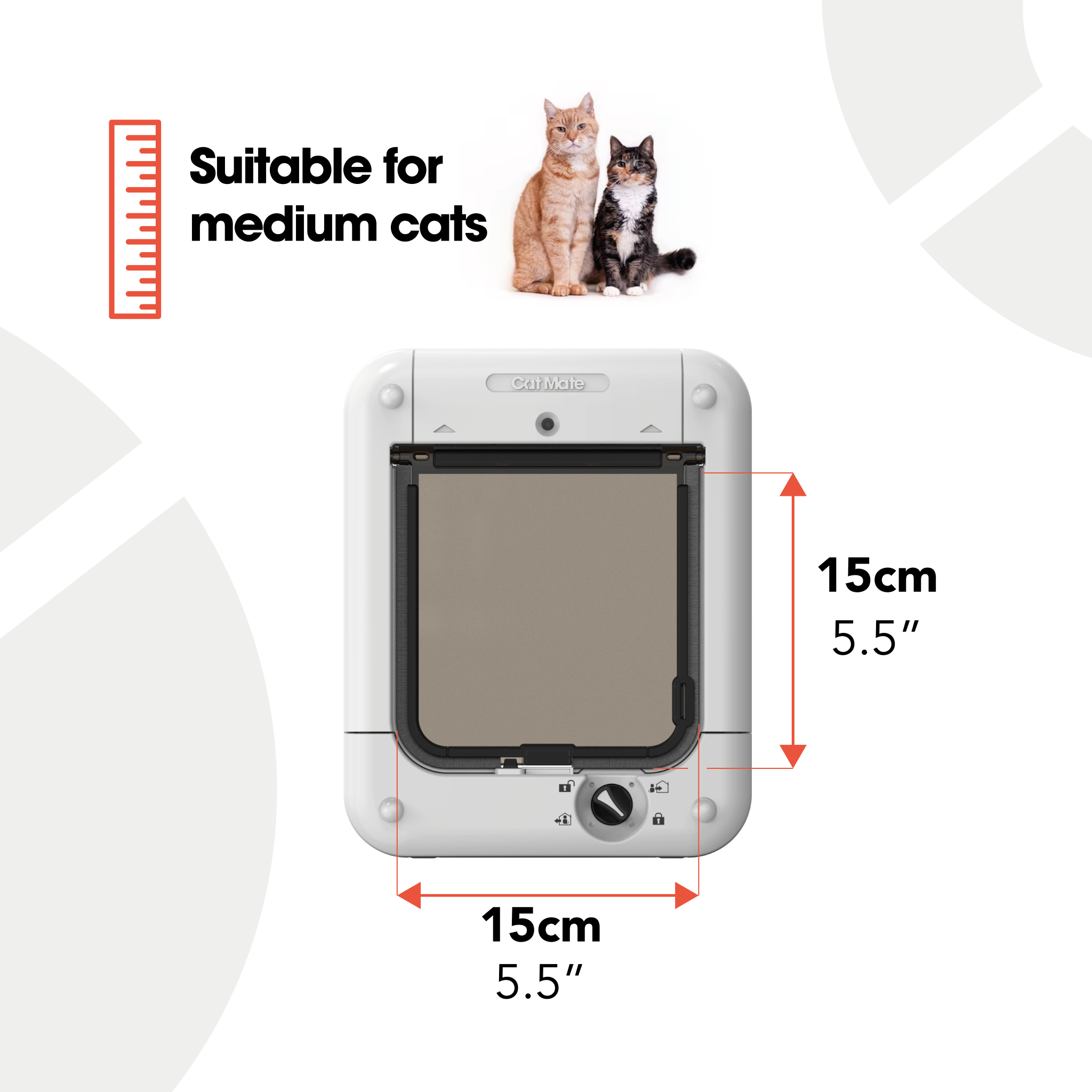 Infographic showing a showing a square pet door with dimensions labelled as 15 cm (5.5 inches) wide and 15 cm (5.5 inches) high. Text at the top reads: 'Suitable for medium cats.' An orange ruler icon appears beside the text, and two medium-sized cats are pictured above the pet door.