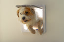Large Cat Flap White (CP221W)