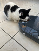 A black and white can is hunched at the dark grey pet feeder while it eats dry food from the open bowl on a ligt coloured tiled floor