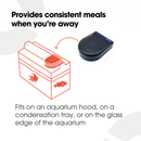 An infographic on a white background with black text and an orange diagram of a fish tank explaining the benefits of using the aquarium feeder such as 'provides consistant meals while you're away'
