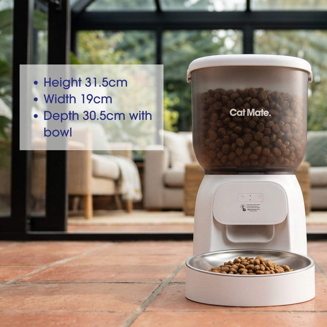 Cat Mate automatic pet feeder with a clear hopper filled with kibble, sitting on a tiled floor next to a stainless steel bowl of food, in front of glass doors in a bright living room. Text overlay lists dimensions: Height 31.5cm, Width 19cm, Depth 30.5cm with bowl