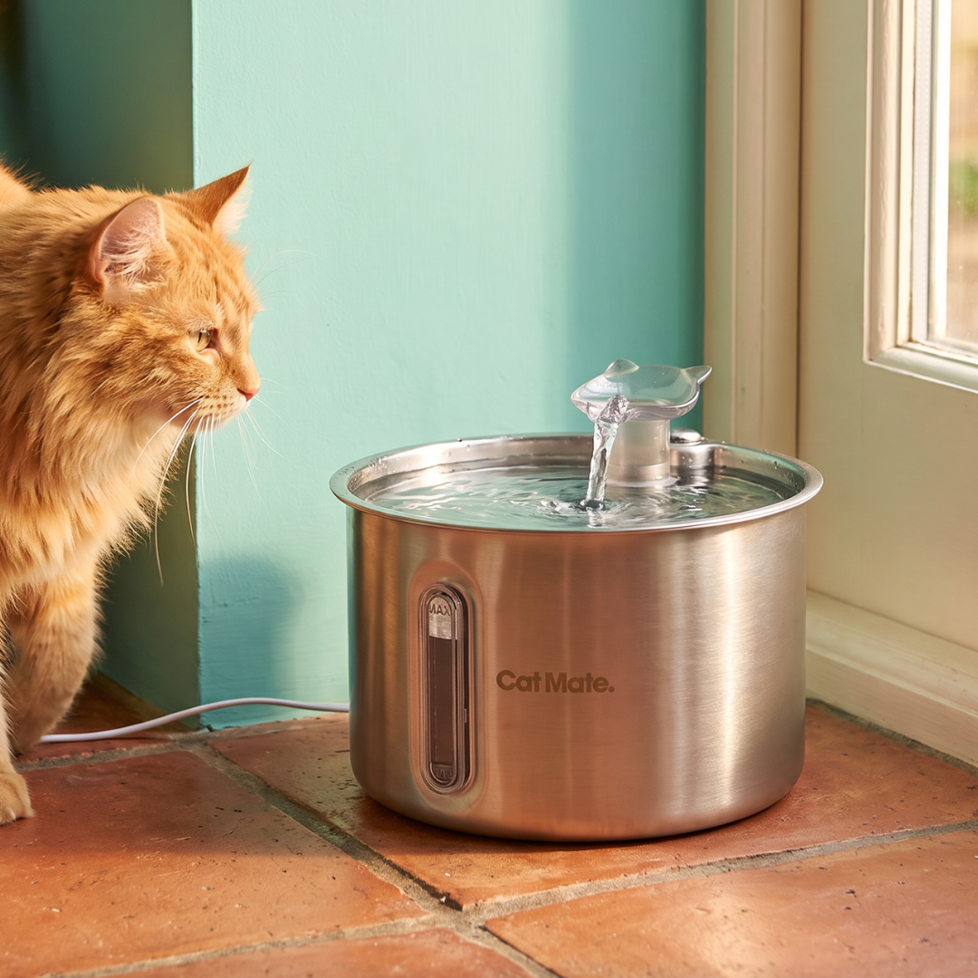 A Cat Mate corded stainless steel pet water fountain with a 2.2L capacity sits on a terracotta tile floor next to an orange longhaired tabby cat, with a teal wall and window in the background.