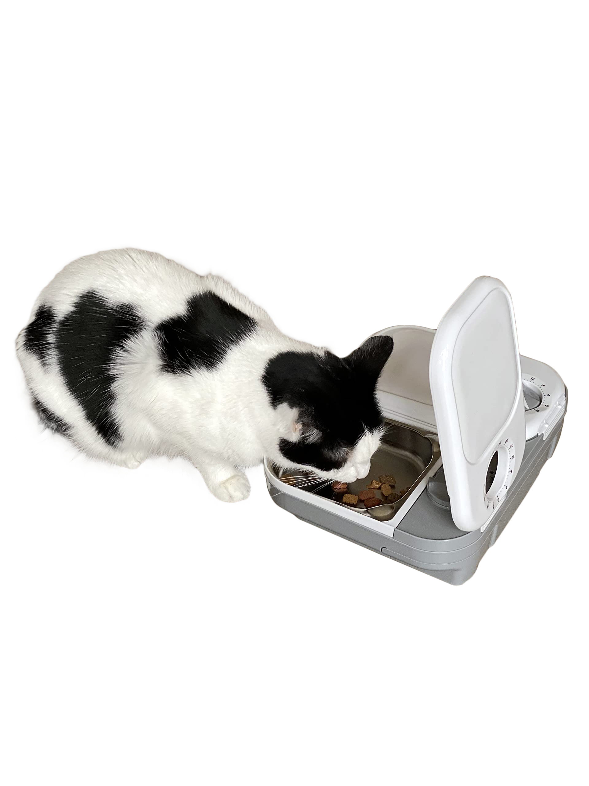A black and white cat eating dry food from the grey and white pet feeder