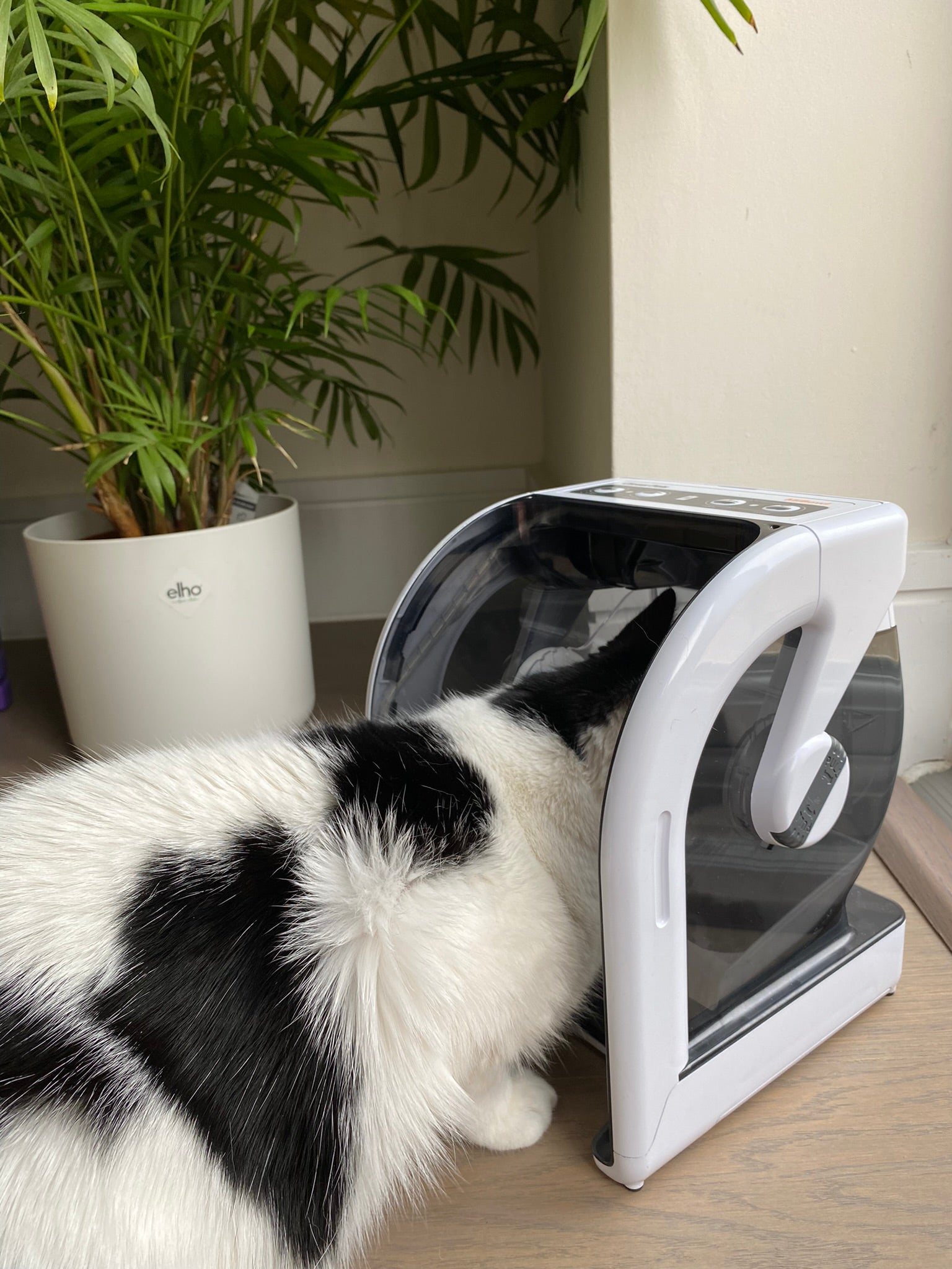 MiBowl Automatic Microchip Pet Feeder (CP500)