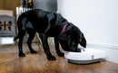 Mangeoire automatique pour animaux de compagnie à trois repas avec minuterie numérique (C300)