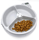 Three three bowl feeder showing two of the bowls as being empty, and the closest bowl filled with dry pet food, against a white background 