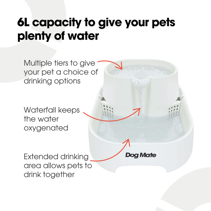 Large Two-level Six-litre Pet Fountain – White (385E)