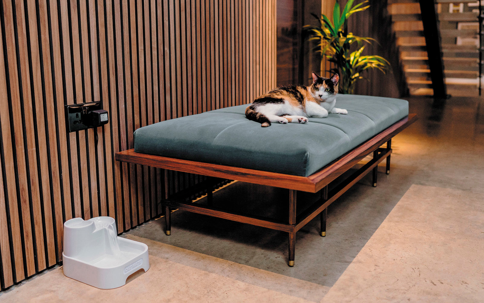 A cosy indoor setting featuring a calico cat lounging on a modern wooden bench with a green cushioned seat. Next to the bench, a white pet water fountain labelled 'CAT MATE' is plugged into the wall and flowing with water. The room has a wood-panelled wall, a potted plant in the background, and a staircase leading upward, creating a warm, contemporary atmosphere.