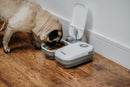 A small dog is eating from an automatic pet feeder placed on a wooden floor against a white wall. One of the feeder's two compartments is open and filled with food, while the other remains closed. The device is labelled 'Cat Mate' and has a dial timer on the closed lid.
