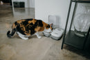 A calico cat is eating from an automatic pet feeder placed on a smooth concrete floor next to a white wall. One compartment of the feeder is open, revealing food, while the other remains closed. The device is labelled 'Cat Mate' and features a dial timer. A black metal shelf with a large glass vase is positioned nearby.