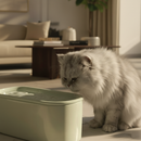 A fluffy white and gray long-haired cat sits on a beige floor next to a light green ceramic cat drinking fountain in a warmly-lit living room with a cream-colored sofa and wooden coffee table in the background.