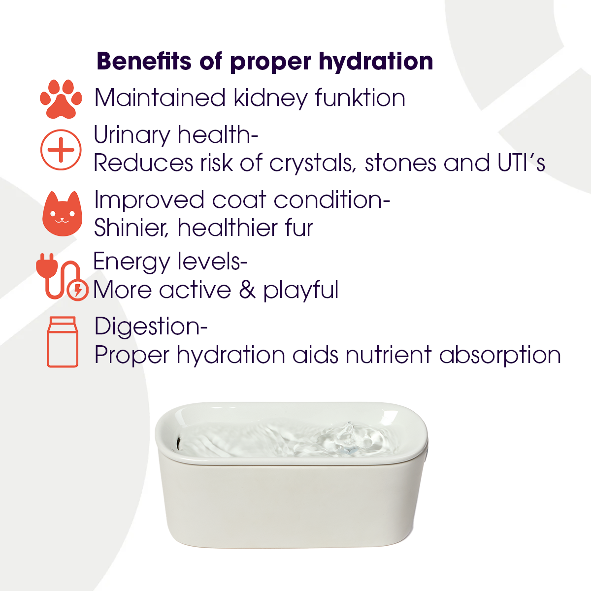 Benefits of proper hydration infographic for pets listing five key benefits with icons: maintained kidney function (paw print), urinary health reducing risk of crystals, stones and UTIs (medical cross), improved coat condition with shinier, healthier fur (cat face), increased energy levels for more active and playful behaviour (pet silhouette), and better digestion with proper nutrient absorption (food bowl). A white ceramic pet water fountain is displayed at the bottom.