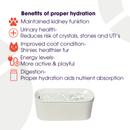 Cat Mate 800 ml USB Ceramic Cat Water Fountain