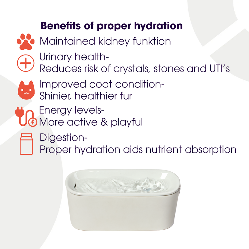 Cat Mate 800 ml USB Ceramic Cat Water Fountain