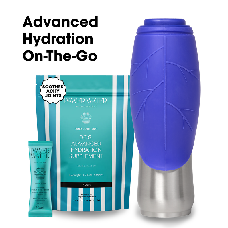Dog Mate 800ml Insulated Water Bottle & Pawer Water Advanced Hydration Supplements (5-Pack)