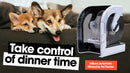 Two excited dogs rest on a couch beside a MiBowl Automatic Microchip Pet Feeder, with bold text that reads “Take control of dinner time.”