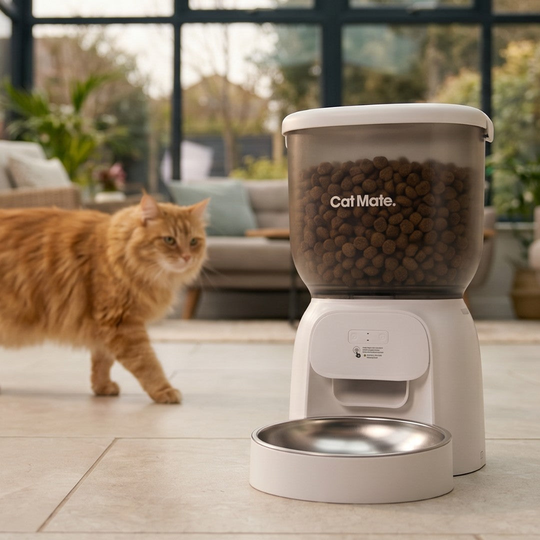 A Cat Mate automatic pet feeder with a clear food hopper filled with kibble and a stainless steel bowl, shown on a tiled floor in a modern conservatory with an orange cat walking nearby.
