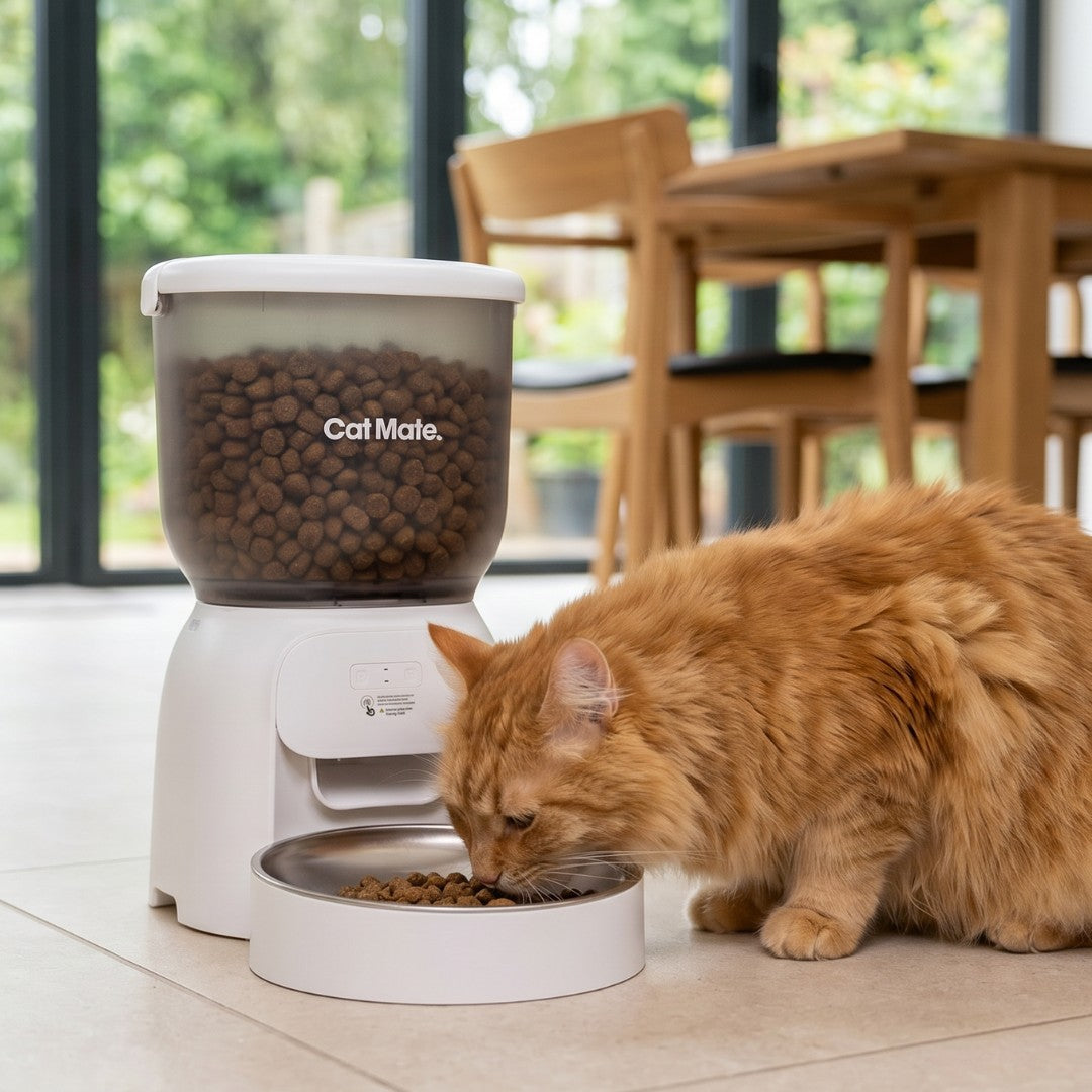 A fluffy orange cat eating kibble from a stainless steel bowl attached to a white Cat Mate automatic pet feeder, set on a tiled floor near a wooden dining table with large windows and greenery in the background