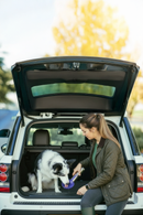 Botella de agua de acero inoxidable con aislamiento Dog Mate de 800 ml