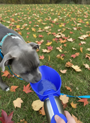 Botella de agua de acero inoxidable con aislamiento Dog Mate de 800 ml