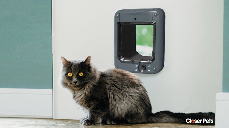 Puerta para gatos con microchip – Gris oscuro (CP 360G)