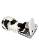 A black and white cat eating dry food from the grey and white pet feeder 
