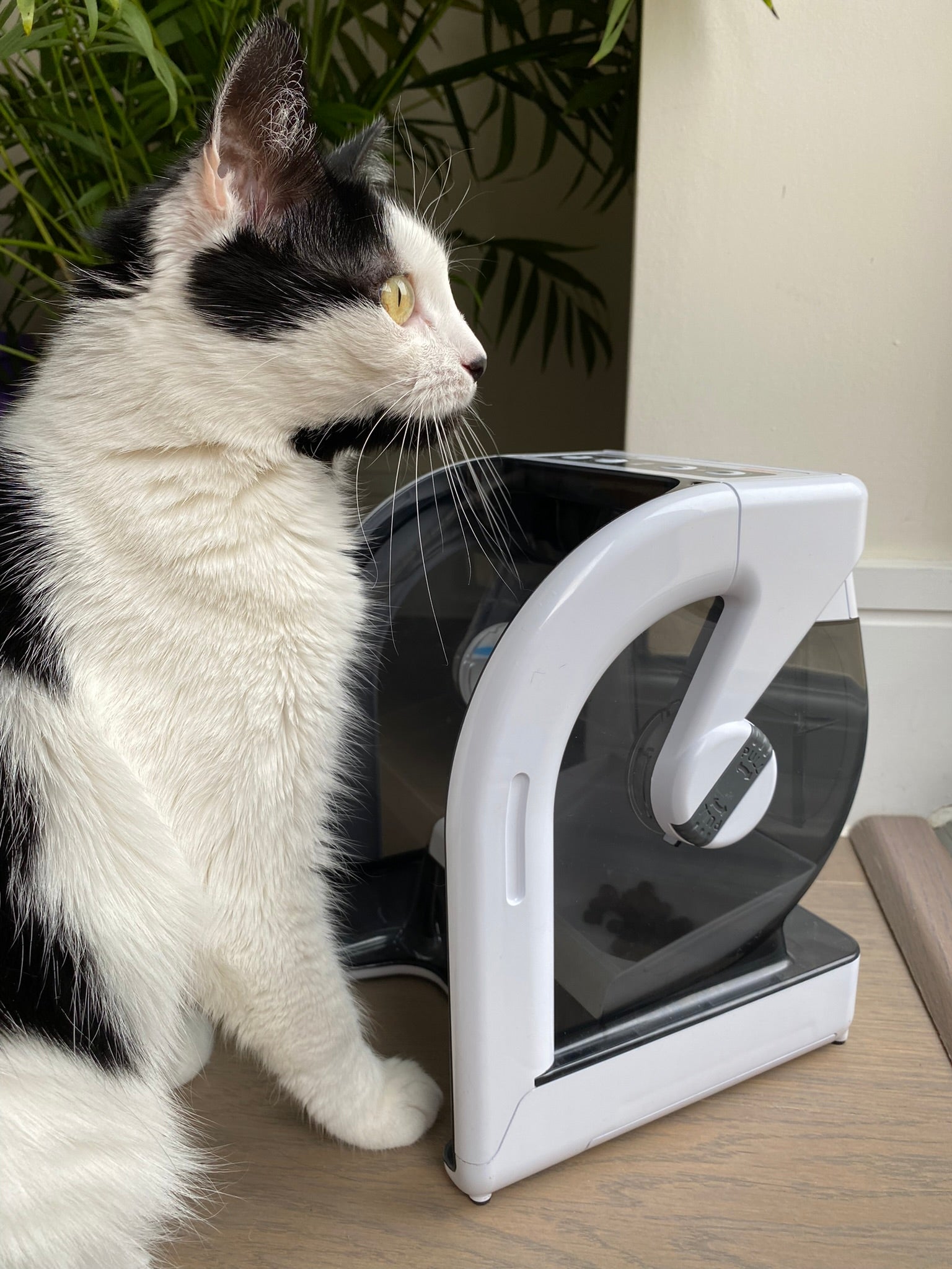 MiBowl Automatic Microchip Pet Feeder (CP500)