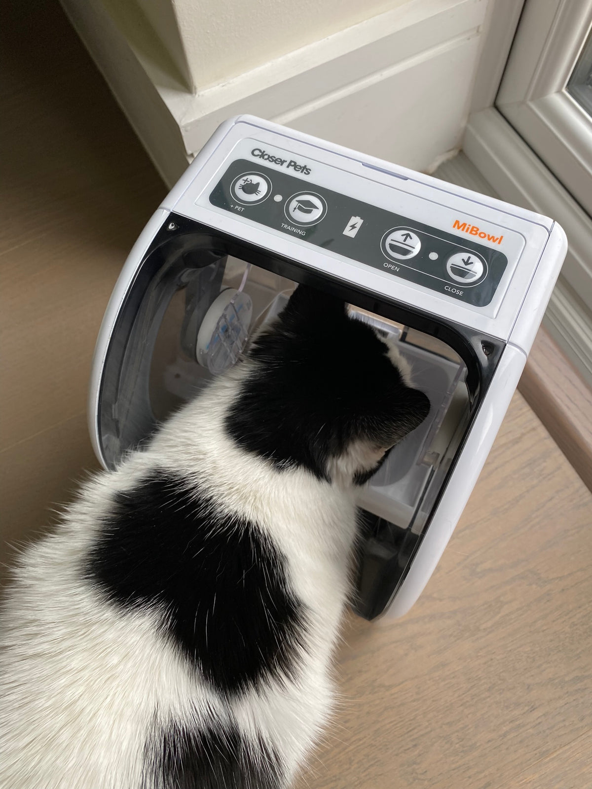 Chip reader cat feeder hotsell