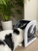 MiBowl Automatic Microchip Pet Feeder (CP500)