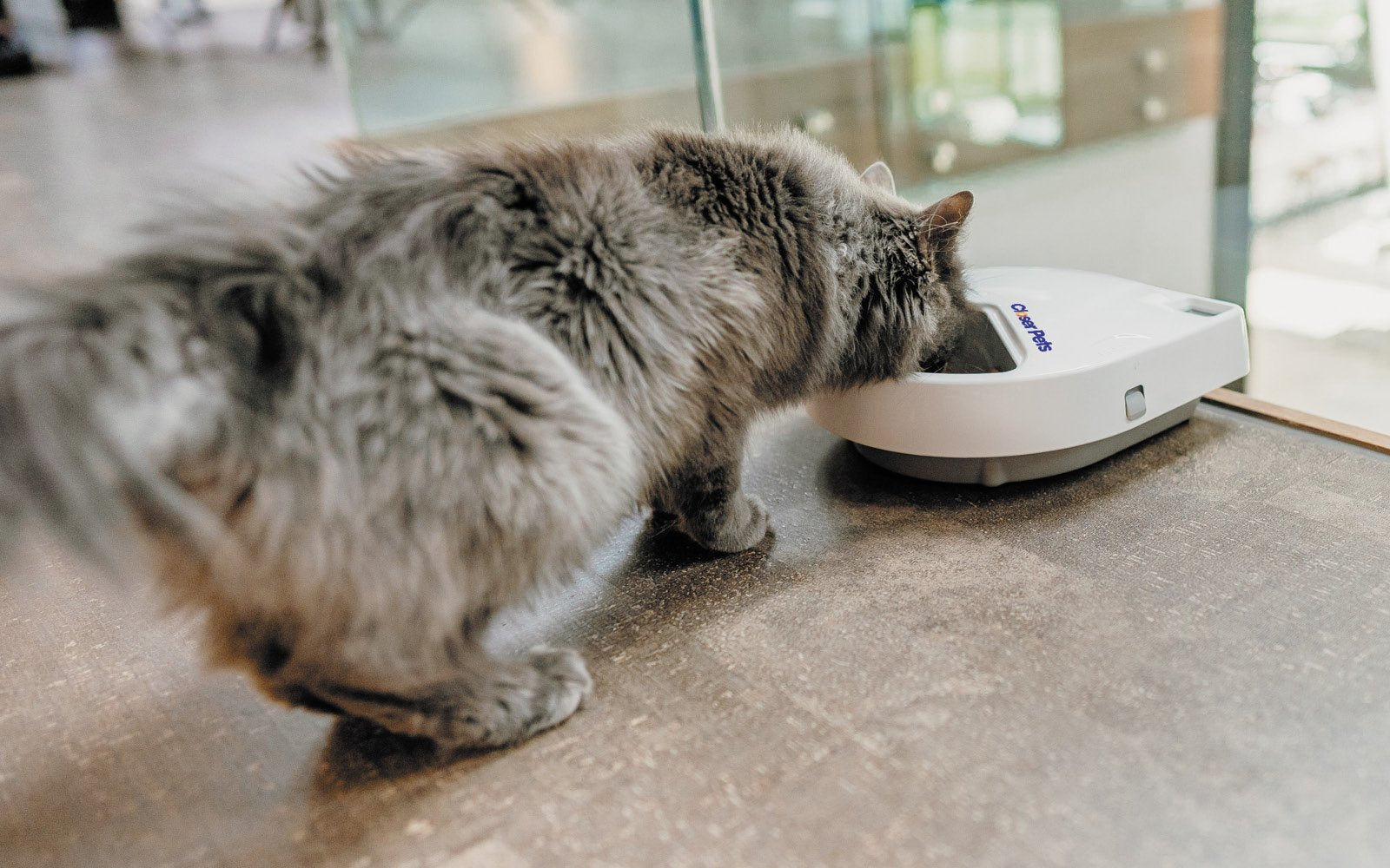 Three-meal Automatic Pet Feeder with Digital Timer (C300)