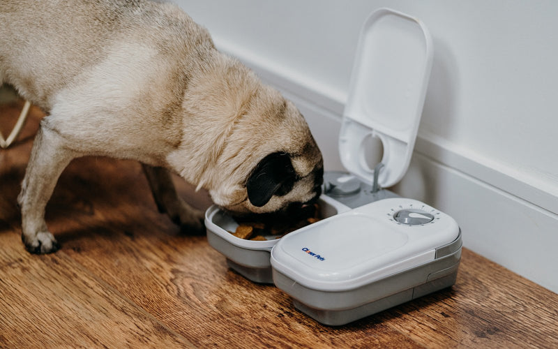 Comedero automático para mascotas de dos comidas (C200)