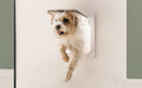Large Cat Flap White (CP221W)